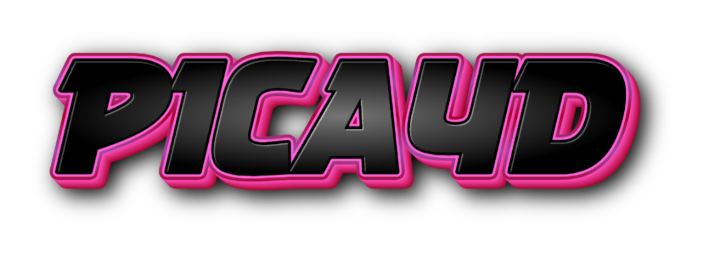 LOGO PICA4D